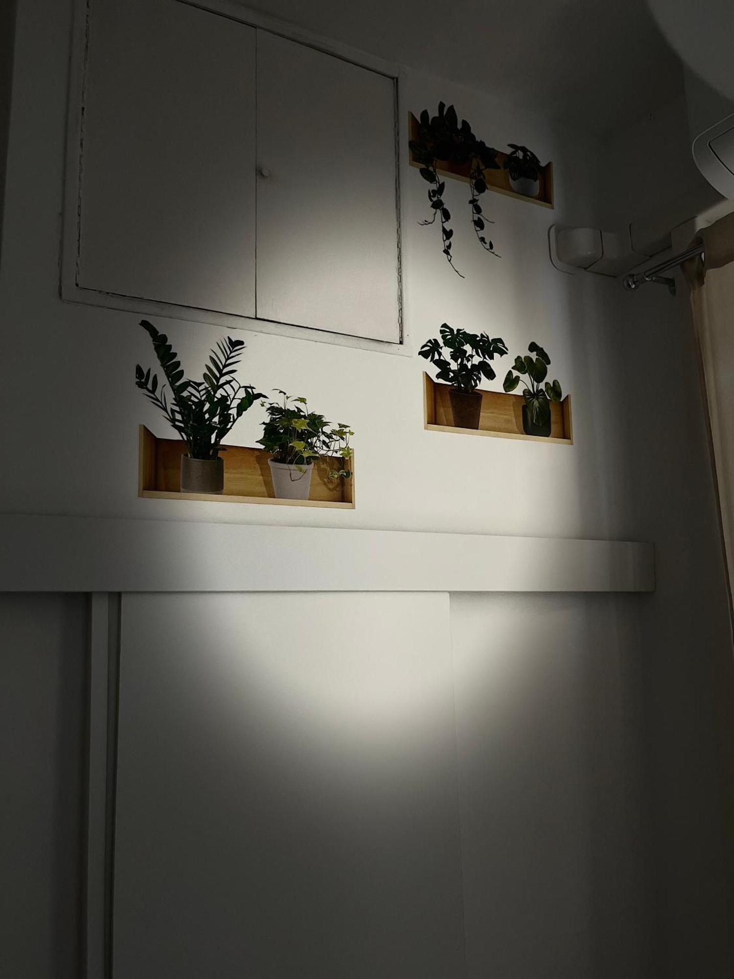 Appia Suite Roma Eksteriør bilde
